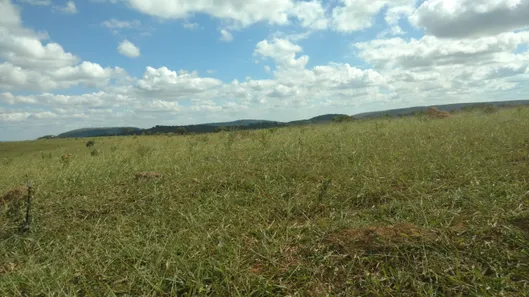 Lote/Terreno à venda, 20000m² no , Cordisburgo