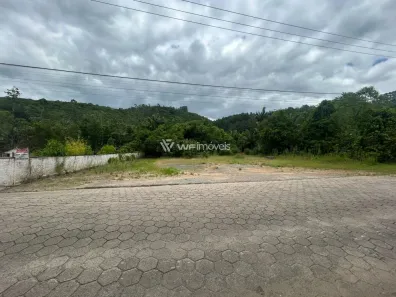 Lote/Terreno à venda, 2500m² no Belchior Alto, Gaspar