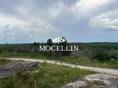 Lote/Terreno à venda, 20000m² no São Luiz do Purunã, Balsa Nova