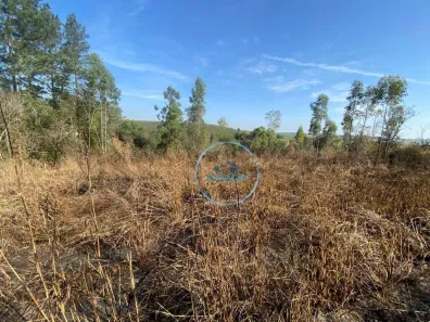 Lote/Terreno à venda, 5000m² no Chácaras Camargo II, São Pedro