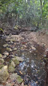Lote/Terreno à venda, 2000m² no Almeida, Jaboticatubas