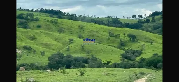 Fazenda/Sítio à venda, 1470000m² no , Bonfim