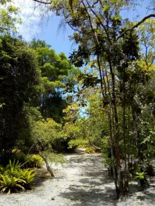 Lote/Terreno à venda, 18623m² no Velha Boipeba, Cairu
