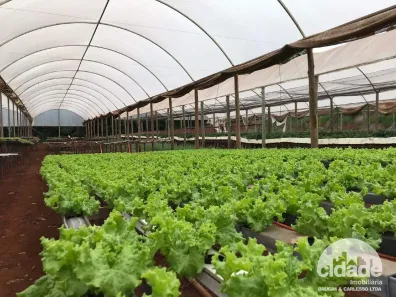 Lote/Terreno à venda, 96800m² no São João d'Oeste, Cascavel