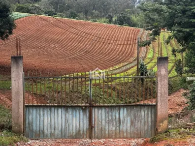Imóvel Comercial à venda, 190531m² no Nhambuca ( Caucaia do Alto), Cotia