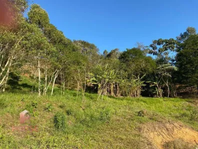 Lote/Terreno à venda, 2500m² no , Santa Isabel