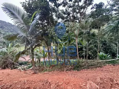 Lote/Terreno à venda, 30143m² no , Massaranduba