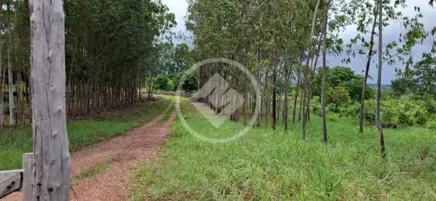 Fazenda/Sítio à venda, 202m² no , Chapada da Natividade