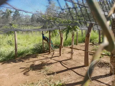 Fazenda/Sítio com 3 Quartos à venda, 10m² no Engenheiro Marsilac, São Paulo