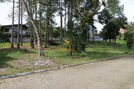 Lote/Terreno à venda, 452m² no Ratones, Florianópolis