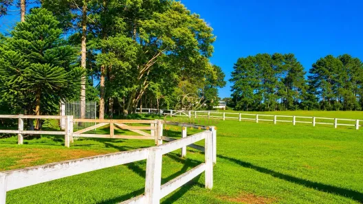 Fazenda/Sítio com 4 Quartos à venda, 171520m² no Colônia Murici, São José dos Pinhais