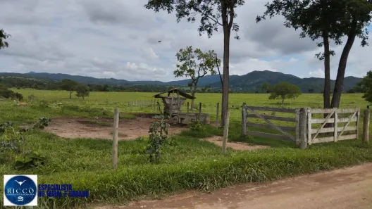 Fazenda/Sítio com 3 Quartos à venda, 50m² no , Heitoraí