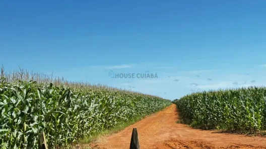 com 3 Quartos à venda, 600m² no , Primavera do Leste