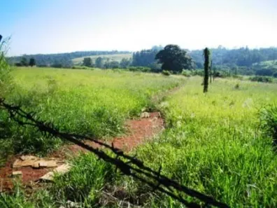 Lote/Terreno à venda, 40600m² no Vila Hollândia, Campinas