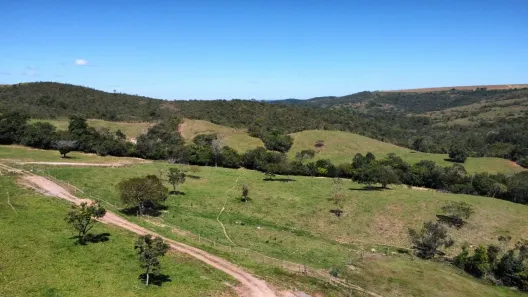 Fazenda/Sítio com 5 Quartos à venda, 300m² no Área Rural de Luziânia, Luziânia