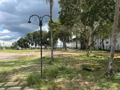 Lote/Terreno para alugar, 48000m² no Colônia Terra Nova, Manaus