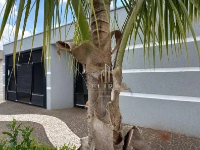 Casa com 3 Quartos à venda, 161m² no Jardim Alfa, Santa Bárbara D'Oeste
