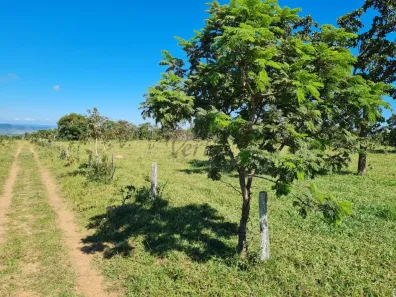 Fazenda/Sítio com 5 Quartos à venda, 2000m² no Vila Santa Maria, Jataí