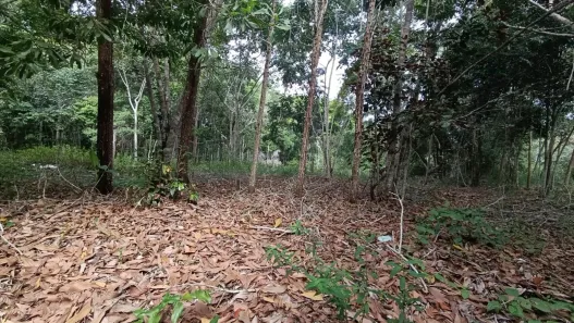 Lote/Terreno à venda, 1040m² no Arraial D'Ajuda, Porto Seguro