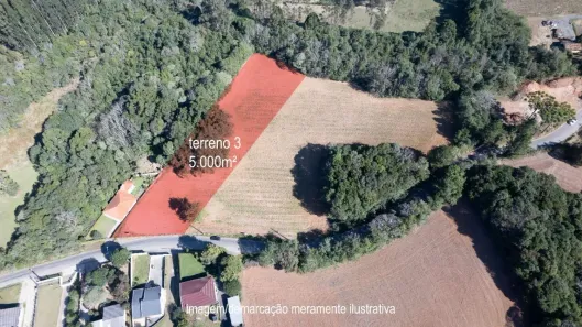 Lote/Terreno à venda, 5000m² no Vila Delurdes, Campo Largo
