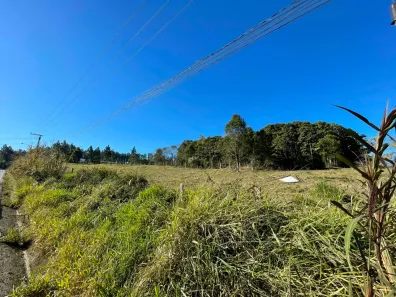Fazenda/Sítio à venda, 42000m² no Linha Rio Maior, Urussanga