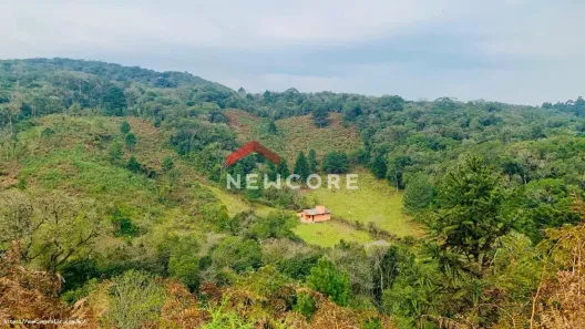 Lote/Terreno com 1 Quarto à venda, 100m² no Centro, São Francisco de Paula
