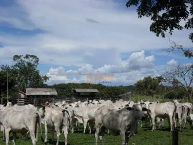Fazenda/Sítio à venda, 1258400m² no Bataguassu, Bataguassu