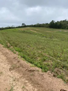 Lote/Terreno à venda, 500m² no Altos de Caucaia (Caucaia do Alto), Cotia