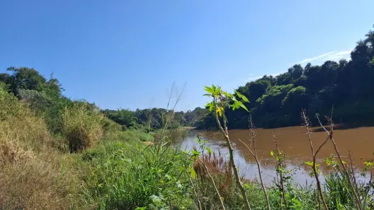 Fazenda/Sítio à venda, 1000m² no Centro, Florestal
