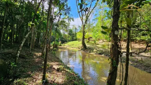 Fazenda/Sítio com 4 Quartos à venda, 160m² no Colônia Pereira, Paranaguá