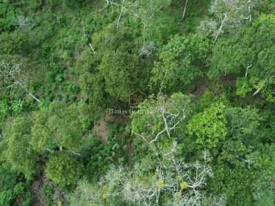 Lote/Terreno à venda, 5668m² no , Guaramiranga