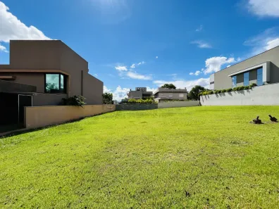 Lote/Terreno à venda, 502m² no Loteamento Santa Luisa, Ribeirão Preto