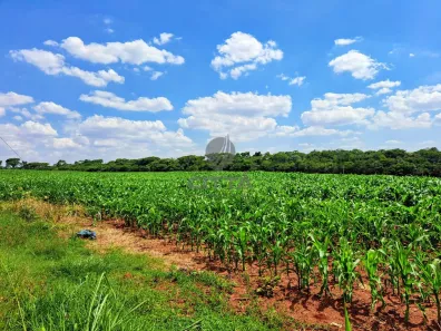 Lote/Terreno à venda, 85000m² no Betel, Paulínia
