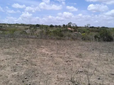 Lote/Terreno à venda, 550000m² no Maçaranduba, São Gonçalo do Amarante