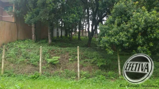 Lote/Terreno à venda, 495m² no Santa Felicidade, Curitiba