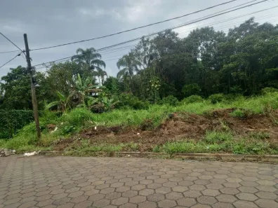Lote/Terreno à venda, 1000m² no Jardim Umuarama, Itanhaém