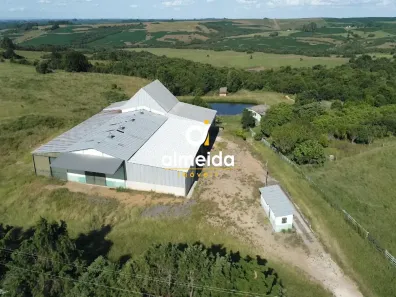 Fazenda/Sítio para alugar, 800m² no São Sepé, São Sepé