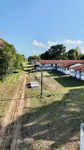 Fazenda/Sítio à venda, 69941m² no , Pilar