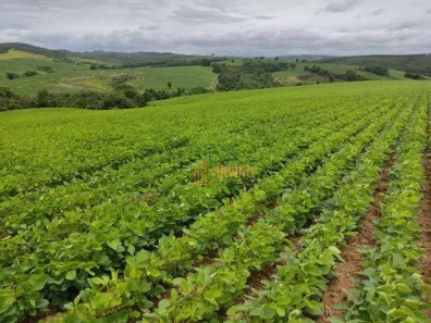 Fazenda/Sítio à venda, 484000m² no Zona Rural, Pilar do Sul