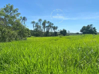 Fazenda/Sítio à venda, 484000m² no , Abadiânia