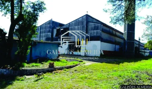 Galpão/Depósito/Armazém para alugar, 5500m² no Cangaíba, São Paulo