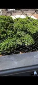 Apartamento com 1 Quarto à venda, 160m² no Laranjeiras, Rio de Janeiro