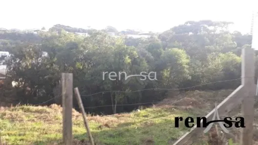Lote/Terreno à venda, 1312m² no Pioneiro, Caxias do Sul