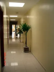 Imóvel Comercial com 7 Quartos para alugar, 1000m² no Vila Amália (Zona Norte), São Paulo