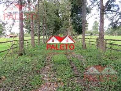Fazenda/Sítio com 4 Quartos à venda, 72600m² no Área Rural de Porangaba, Porangaba