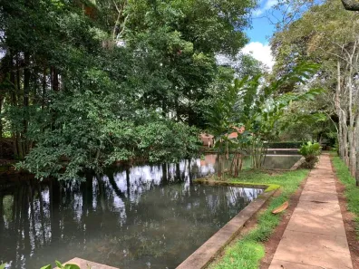 Fazenda/Sítio com 4 Quartos para alugar no Residencial Zanetti, Franca