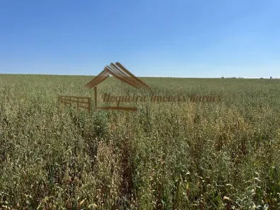 Fazenda/Sítio à venda, 84700m² no Área Rural de Tatuí, Tatuí