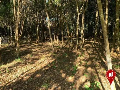 Lote/Terreno à venda, 1000m² no , Brumadinho