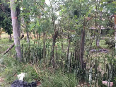 Lote/Terreno para alugar, 4567m² no São José do Imbassaí, Maricá
