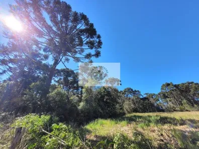 Fazenda/Sítio com 1 Quarto à venda, 30000m² no , Campo Alegre